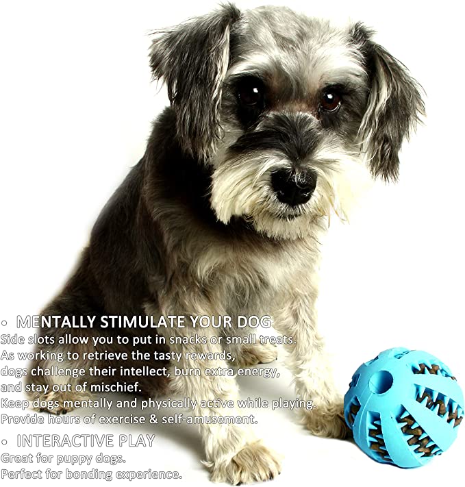 Hundespielzeug Interaktive Gummibälle für kleine & große Hunde, Hunde- und Katzenspielzeug
