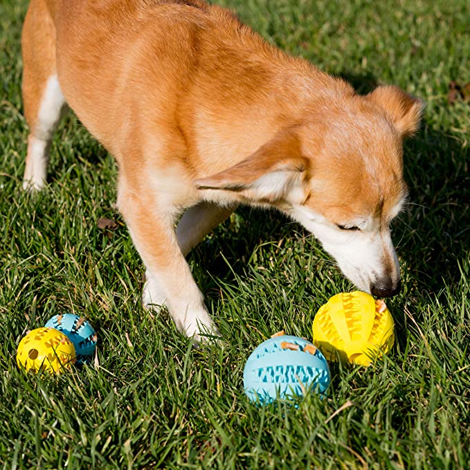 Hundespielzeug Interaktive Gummibälle für kleine & große Hunde, Hunde- und Katzenspielzeug