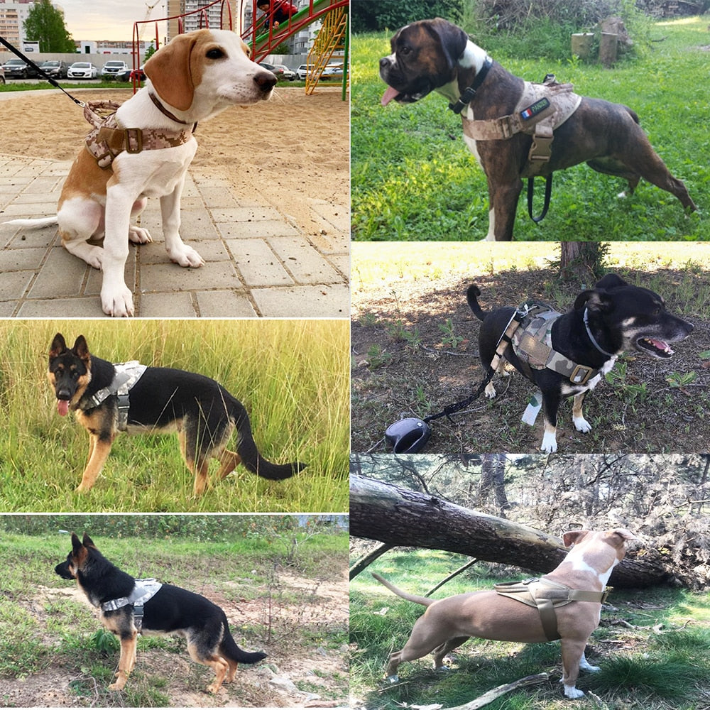 Taktisches Hundegeschirr, Clip zur Befestigung der Leine an der Vorderseite