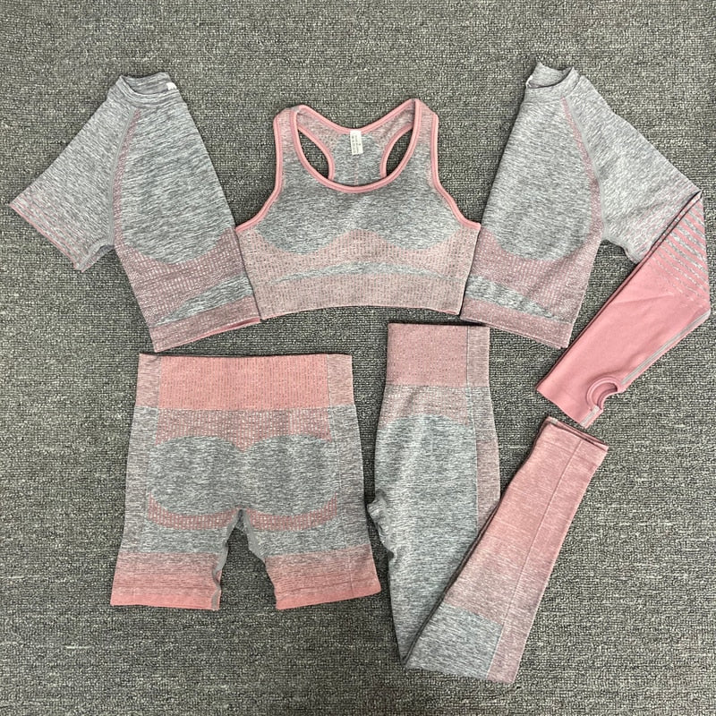 2/3/5 stücke Nahtlose Damen Sportbekleidung & Yoga-Set
