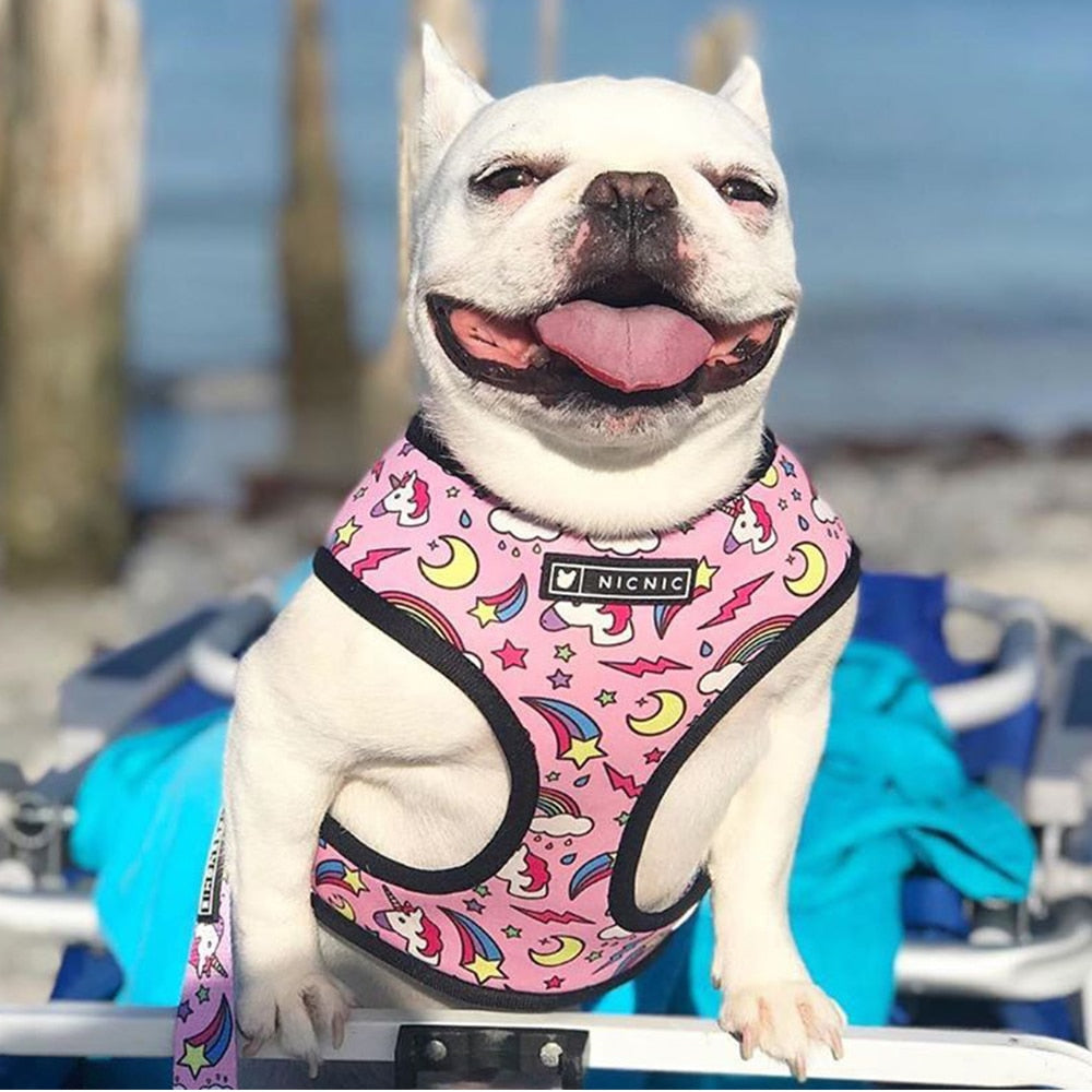 Hundeweste Geschirr für kleine mittelgroße Hunde, Atmungsaktive Haustiere Welpen Französische Bulldogge