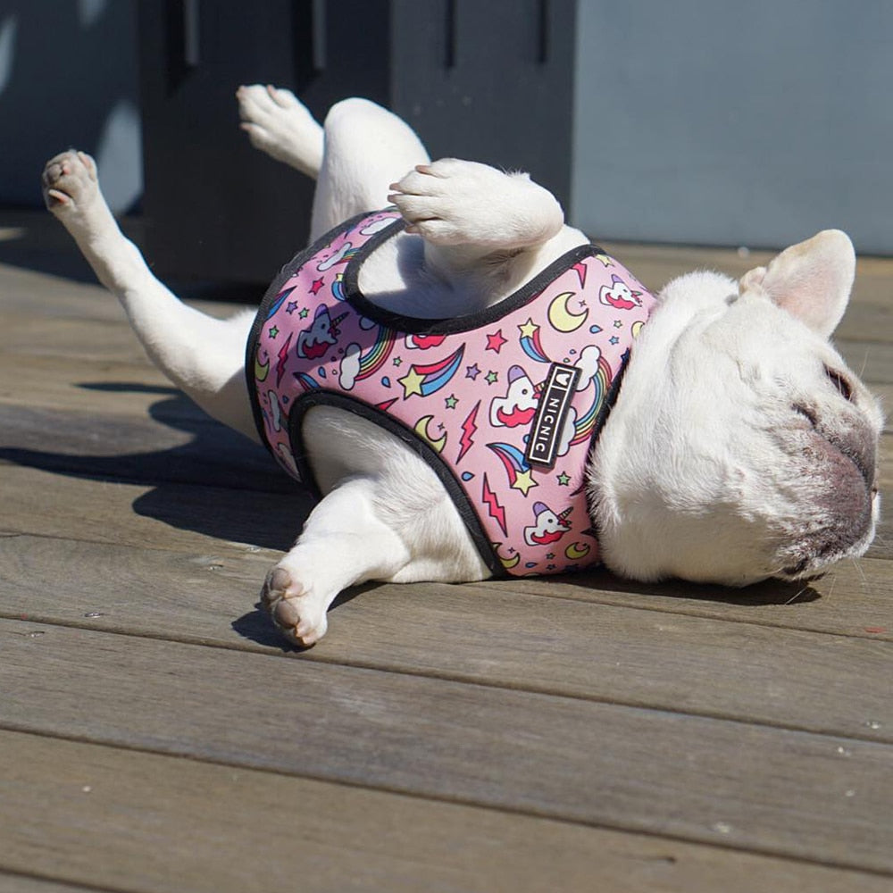 Hundeweste Geschirr für kleine mittelgroße Hunde, Atmungsaktive Haustiere Welpen Französische Bulldogge