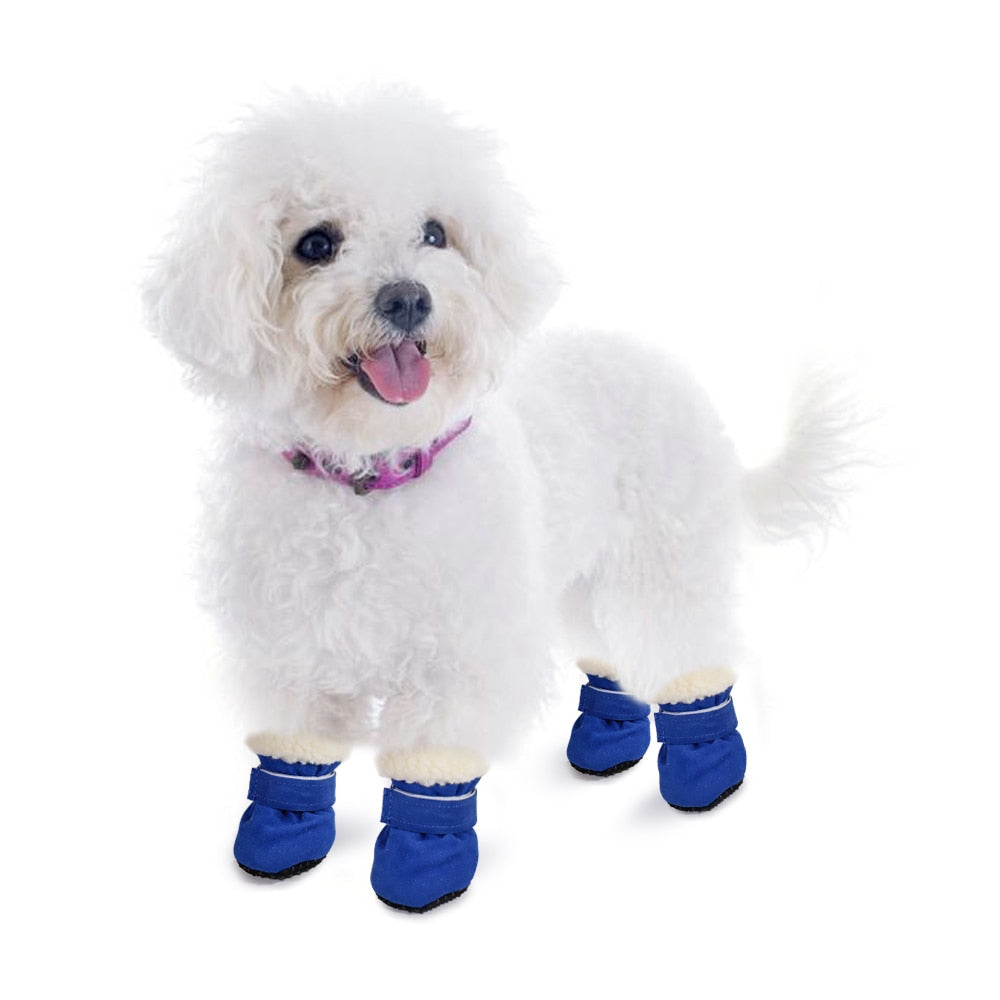 4pcs Hundestiefel Herbst/Winter