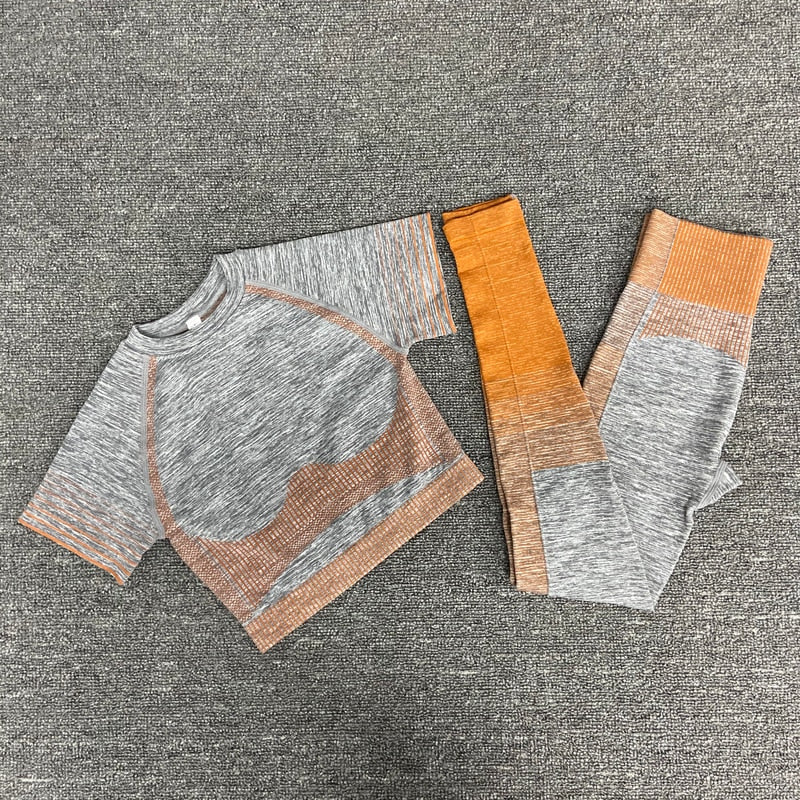 2/3/5 stücke Nahtlose Damen Sportbekleidung & Yoga-Set