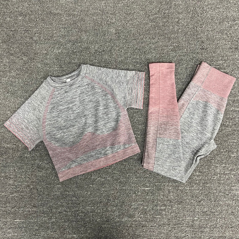 2/3/5 stücke Nahtlose Damen Sportbekleidung & Yoga-Set