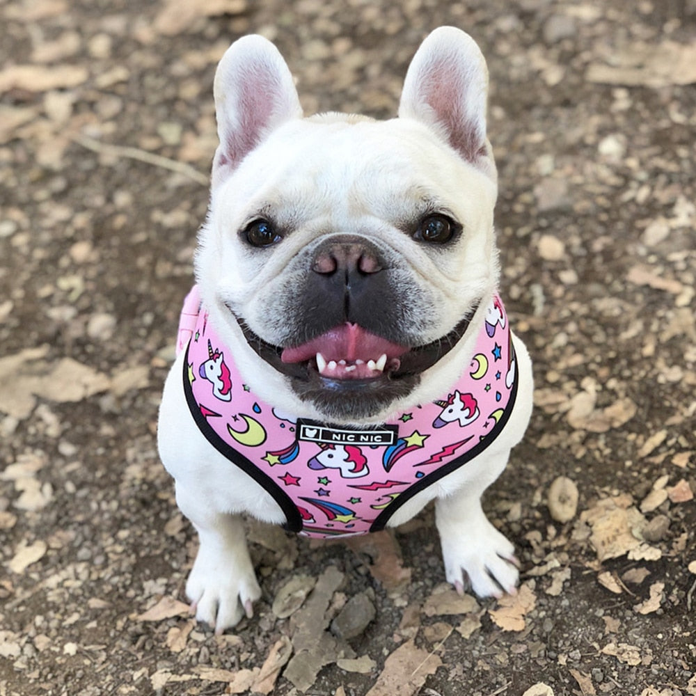 Hundeweste Geschirr für kleine mittelgroße Hunde, Atmungsaktive Haustiere Welpen Französische Bulldogge