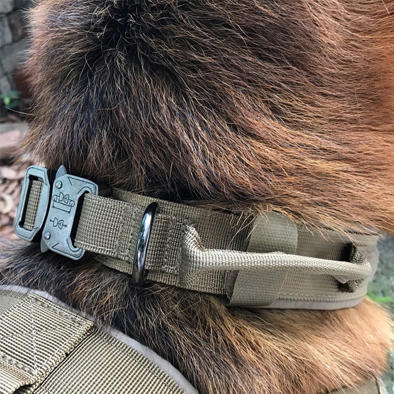 Hundehalsband mit Hundemarke Nylon, verstellbar, militärisch, taktisch, großes Hundehalsband mit Griff, Training, Laufen, Hundehalsband, personalisierbar