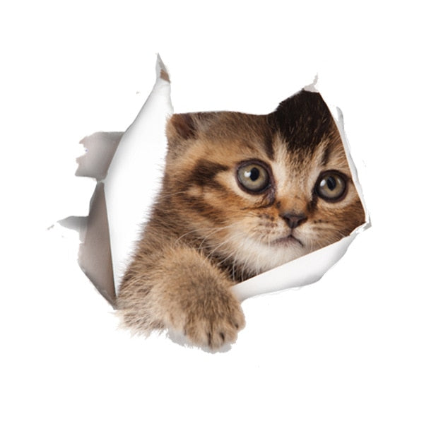 Katzen 3D-Wandaufkleber, Toilettenaufkleber, Lochansicht, lebendige Hunde, Badezimmer, für Heimdekoration, Tiere, Vinyl-Aufkleber, Kunst, Tapete, Poster
