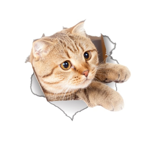Katzen 3D-Wandaufkleber, Toilettenaufkleber, Lochansicht, lebendige Hunde, Badezimmer, für Heimdekoration, Tiere, Vinyl-Aufkleber, Kunst, Tapete, Poster