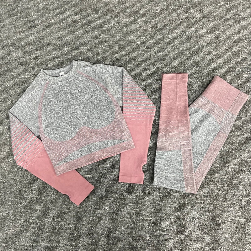 2/3/5 stücke Nahtlose Damen Sportbekleidung & Yoga-Set