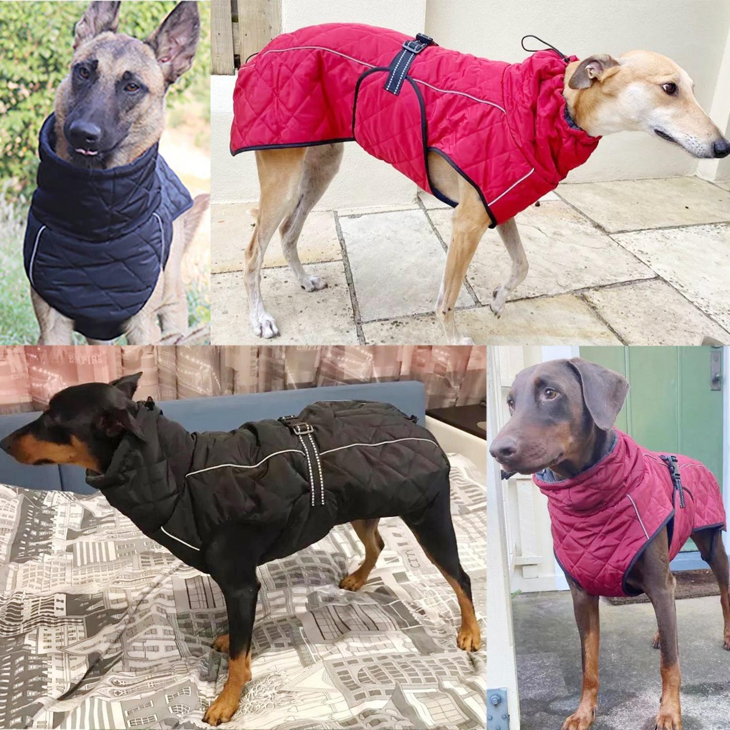 Hund Outdoor Jacke Wasserdicht, Reflektierende Haustier Mantel
