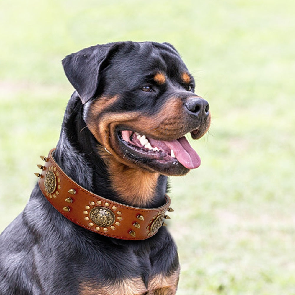 Cooles Haustier-Hundehalsband aus Leder, verstellbares, mit Spikes besetztes Halsband für große Hunde, für mittelgroße Hunde, Pitbull Correa Perro