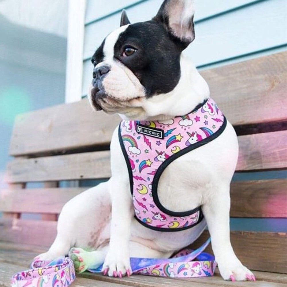 Hundeweste Geschirr für kleine mittelgroße Hunde, Atmungsaktive Haustiere Welpen Französische Bulldogge