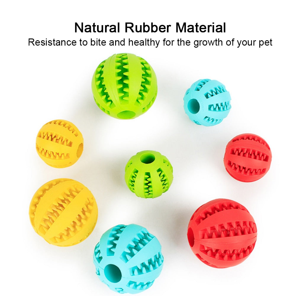 Hundespielzeug Interaktive Gummibälle für kleine & große Hunde, Hunde- und Katzenspielzeug