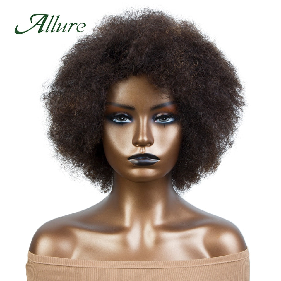 Flauschige Afro Kinky Curly Perücke für schwarze Frauen, Remy brasilianisches menschliches Haar kurze freche menschliche Haarperücken natürliches Braun