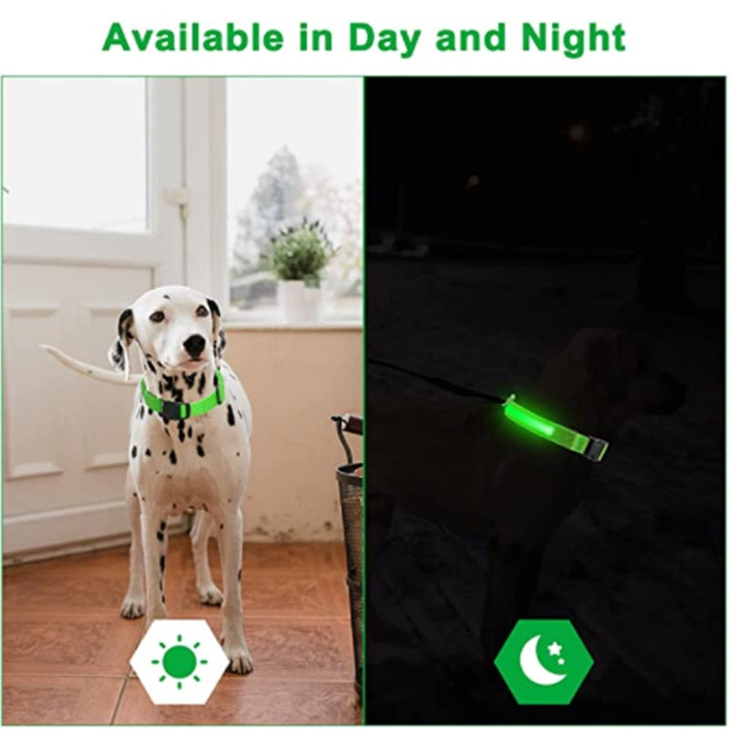 LED leuchtende Hundehalsband, Einstellbare blinkende Wiederaufladbare Leuchthalsband, Nacht Anti-Verlorene Hund Licht Geschirr für kleine Hunde