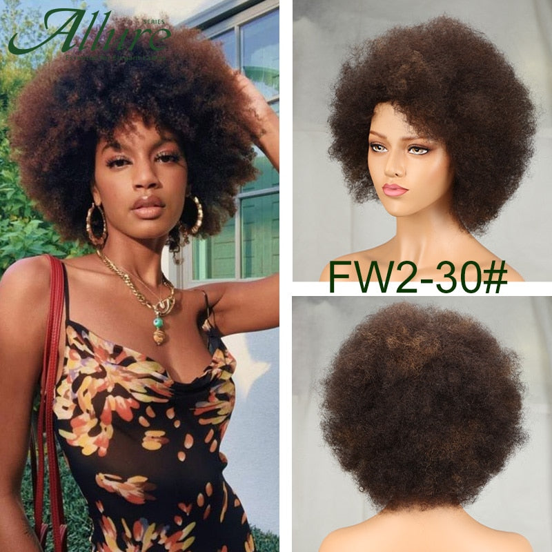 Flauschige Afro Kinky Curly Perücke für schwarze Frauen, Remy brasilianisches menschliches Haar kurze freche menschliche Haarperücken natürliches Braun