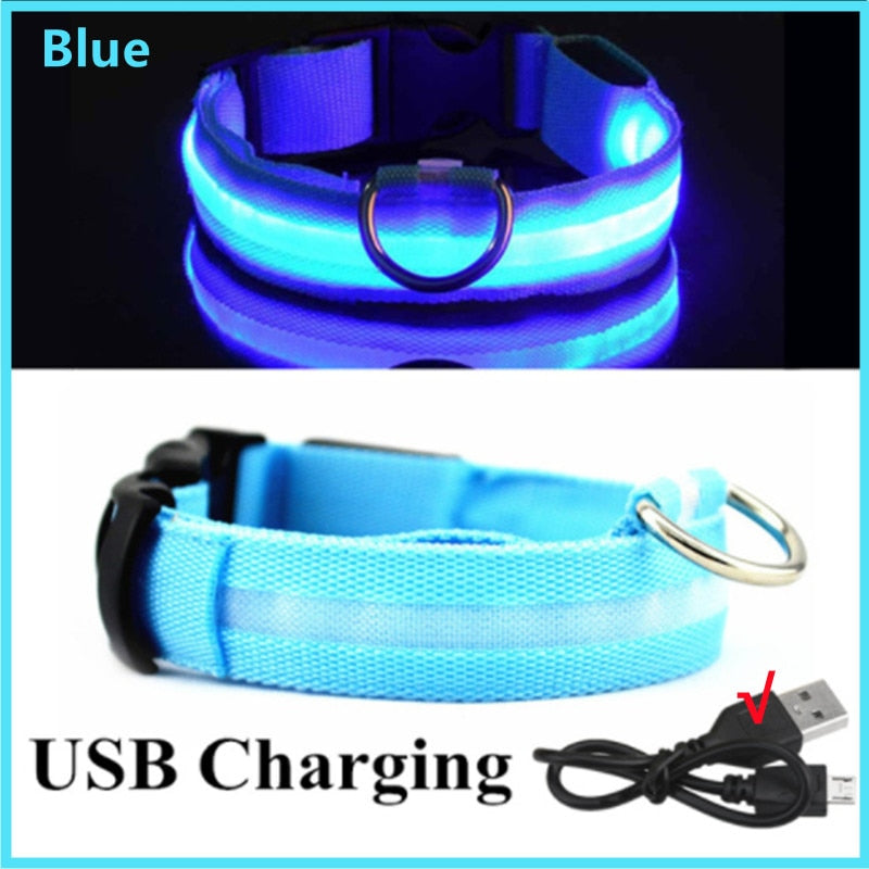 LED leuchtende Hundehalsband, Einstellbare blinkende Wiederaufladbare Leuchthalsband, Nacht Anti-Verlorene Hund Licht Geschirr für kleine Hunde