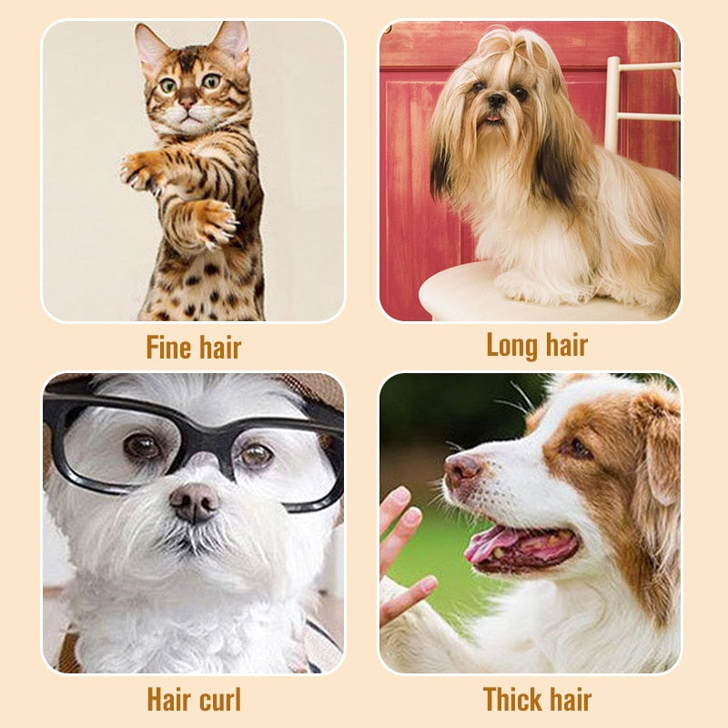 Professioneller Haarschneider für Hunde und Tiere