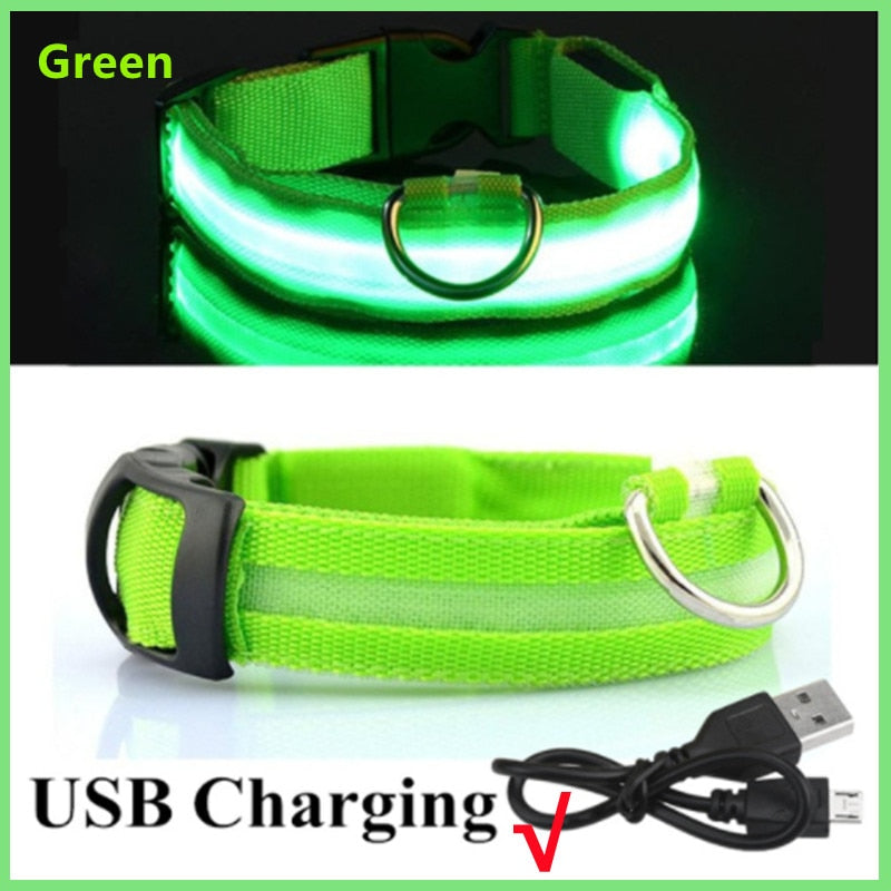 LED leuchtende Hundehalsband, Einstellbare blinkende Wiederaufladbare Leuchthalsband, Nacht Anti-Verlorene Hund Licht Geschirr für kleine Hunde