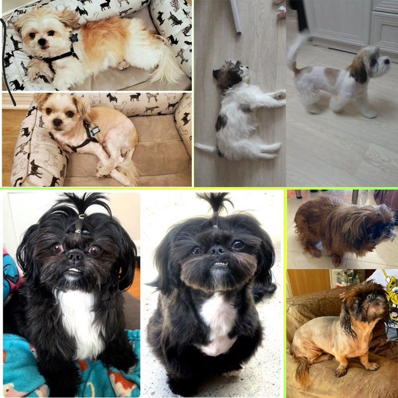 Professioneller Haarschneider für Hunde und Tiere