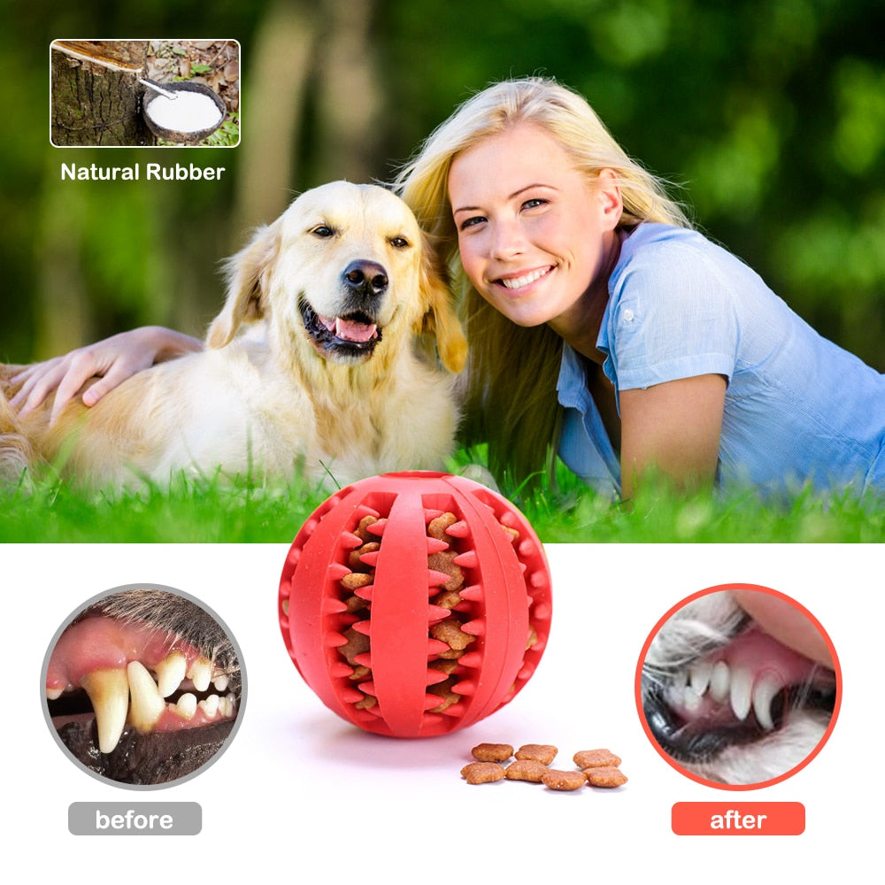 Hundespielzeug Interaktive Gummibälle für kleine & große Hunde, Hunde- und Katzenspielzeug