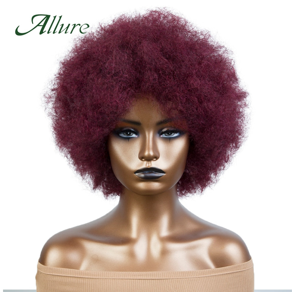 Flauschige Afro Kinky Curly Perücke für schwarze Frauen, Remy brasilianisches menschliches Haar kurze freche menschliche Haarperücken natürliches Braun