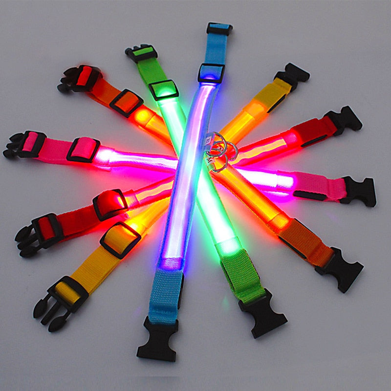 LED leuchtende Hundehalsband, Einstellbare blinkende Wiederaufladbare Leuchthalsband, Nacht Anti-Verlorene Hund Licht Geschirr für kleine Hunde