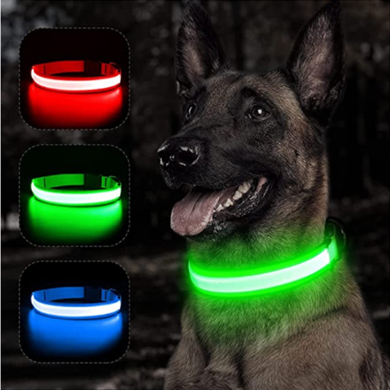 LED leuchtende Hundehalsband, Einstellbare blinkende Wiederaufladbare Leuchthalsband, Nacht Anti-Verlorene Hund Licht Geschirr für kleine Hunde