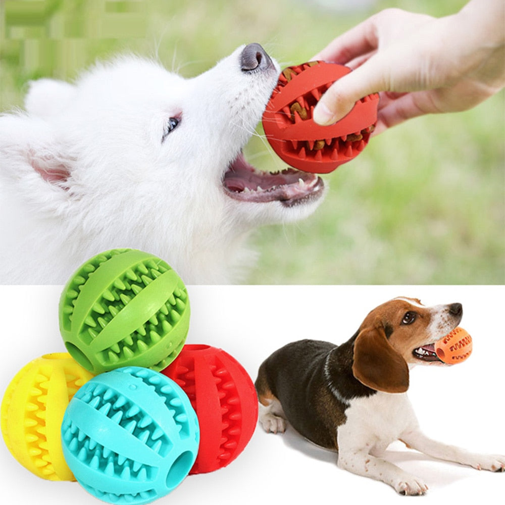 Hundespielzeug Interaktive Gummibälle für kleine & große Hunde, Hunde- und Katzenspielzeug