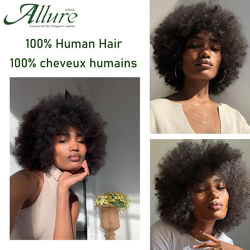 Flauschige Afro Kinky Curly Perücke für schwarze Frauen, Remy brasilianisches menschliches Haar kurze freche menschliche Haarperücken natürliches Braun