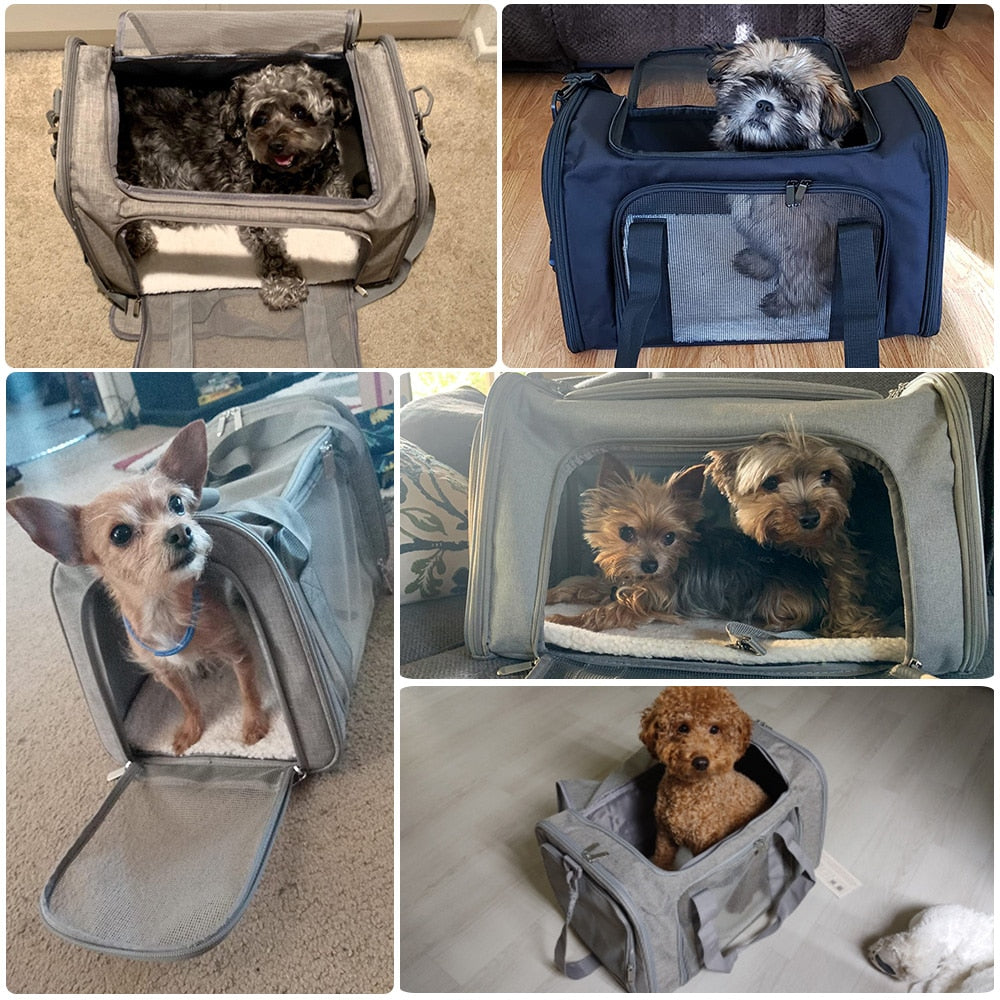 Hundetragetasche Weiche Seitenrucksack, wasserdicht, Sicherheitsleine, Transportbox für kleine Hunde