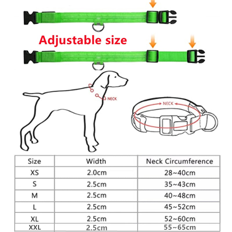 LED leuchtende Hundehalsband, Einstellbare blinkende Wiederaufladbare Leuchthalsband, Nacht Anti-Verlorene Hund Licht Geschirr für kleine Hunde