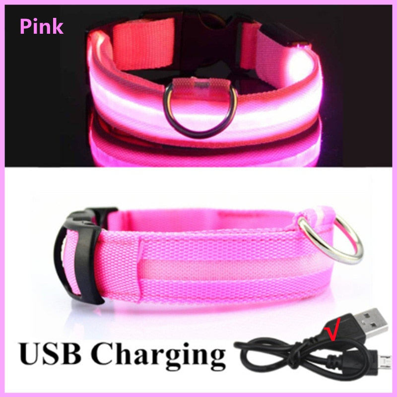 LED leuchtende Hundehalsband, Einstellbare blinkende Wiederaufladbare Leuchthalsband, Nacht Anti-Verlorene Hund Licht Geschirr für kleine Hunde