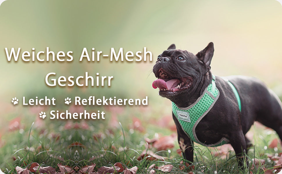 Hundeweste Geschirr für kleine mittelgroße Hunde, Atmungsaktive Haustiere Welpen Französische Bulldogge