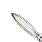 Stainless Fish Scales Scraping Graters Fast Remove Cleaning Peeler Scraper Bone Tweezers Tool Gadge Kitchen Accessorie Gadgets
