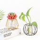 Iron Line Blumenvase, Metall, Pflanzenhalter, moderne Wohnkultur