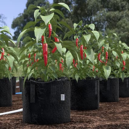 5 Stück Gallonen Set, Stoffpflanzentöpfe für Gartengemüse & Blumen, Pflanzbehälter