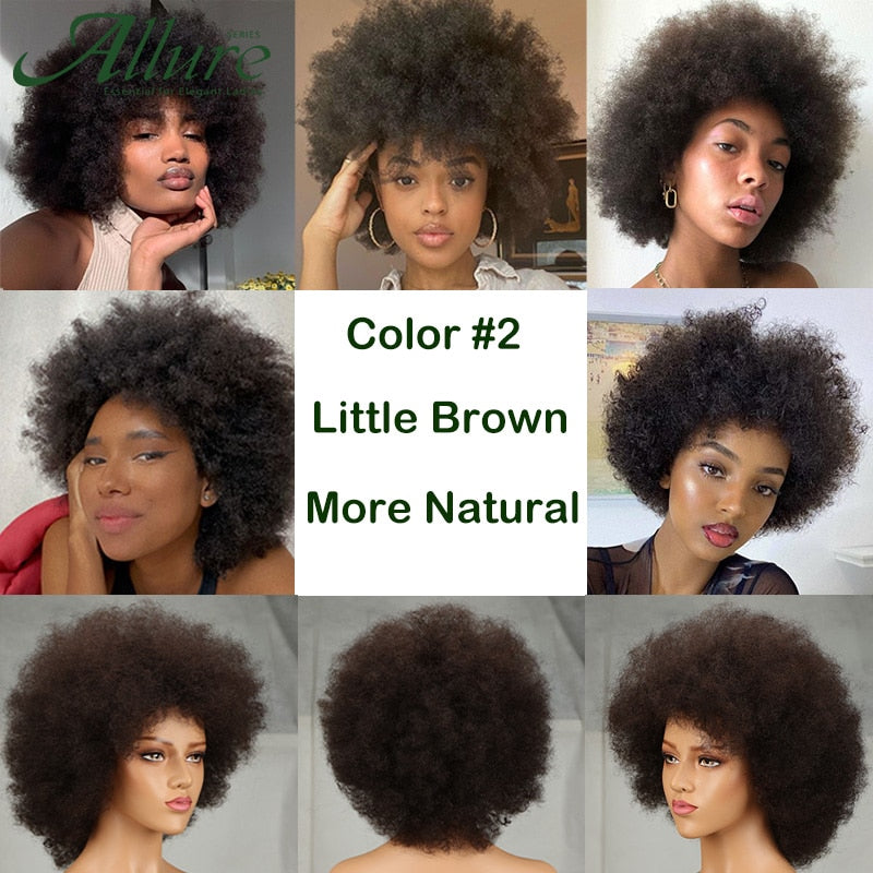 Flauschige Afro Kinky Curly Perücke für schwarze Frauen, Remy brasilianisches menschliches Haar kurze freche menschliche Haarperücken natürliches Braun