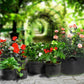 5 Stück Gallonen Set, Stoffpflanzentöpfe für Gartengemüse & Blumen, Pflanzbehälter