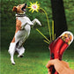 Snacks Launcher Shooter für Hunde