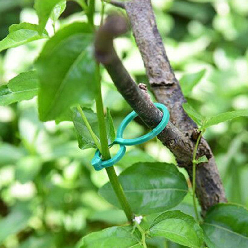 50/100 Stück Gartenpflanzenhalter-Spalier-Clips