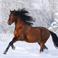 Full Set Winter Strass Bilder Dekoration Home,  Zubehör Diamond Dekoration für Home