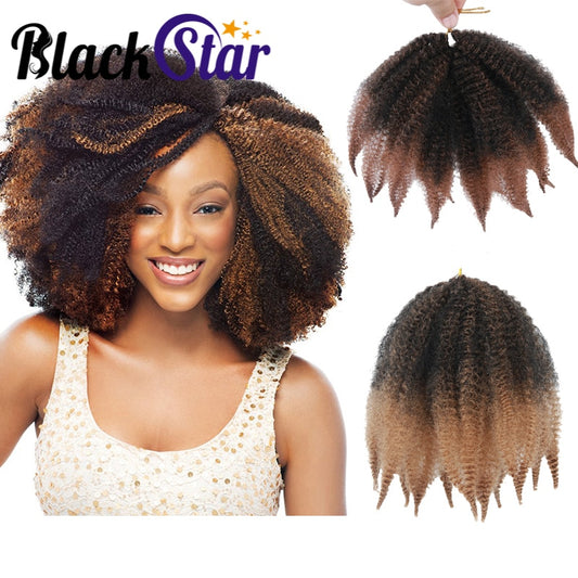 Black Star Hair Afro Synthetic Crochet Marley Braids Haarverlängerungen für schwarze Frauen Kanekalons Kinky Twist Braiding Hairs