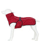 Hund Outdoor Jacke Wasserdicht, Reflektierende Haustier Mantel