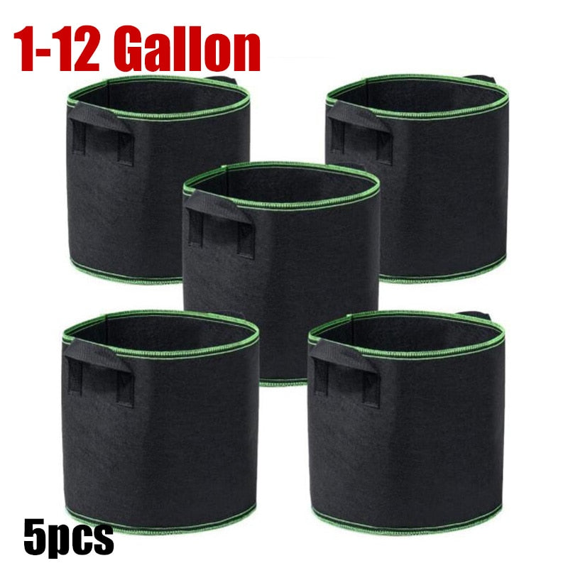 |14:200006154#1 gallon|14:200006156#2 gallon|14:200005536#3 gallon|14:200004889#5 gallon|14:200004890#7 gallon|14:200004891#10 gallon|14:200003699#12 gallon|3256801221709313-1 gallon|3256801221709313-2 gallon|3256801221709313-3 gallon|3256801221709313-5 gallon|3256801221709313-7 gallon|3256801221709313-10 gallon|3256801221709313-12 gallon