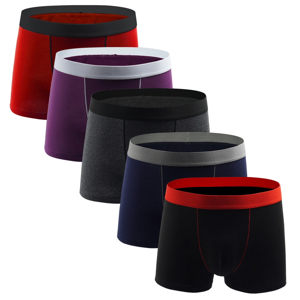 5pcs Boxershorts Herren, European Baumwolle Plus-Größe