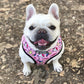 Hundeweste Geschirr für kleine mittelgroße Hunde, Atmungsaktive Haustiere Welpen Französische Bulldogge