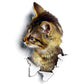 Katzen 3D-Wandaufkleber, Toilettenaufkleber, Lochansicht, lebendige Hunde, Badezimmer, für Heimdekoration, Tiere, Vinyl-Aufkleber, Kunst, Tapete, Poster