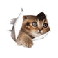 Katzen 3D-Wandaufkleber, Toilettenaufkleber, Lochansicht, lebendige Hunde, Badezimmer, für Heimdekoration, Tiere, Vinyl-Aufkleber, Kunst, Tapete, Poster